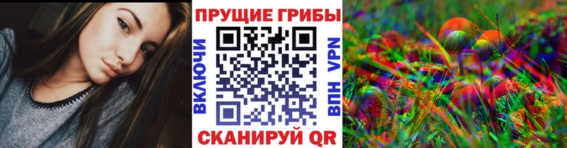 ссылка на мегу рабочий сайт  Малая Вишера  маркетплейс клад  Псилоцибиновые грибы Psilocybe 