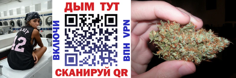 Каннабис индика  Малая Вишера 
